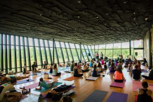 DFW Free Day of Yoga Kick Off Festival! 11th Annual!